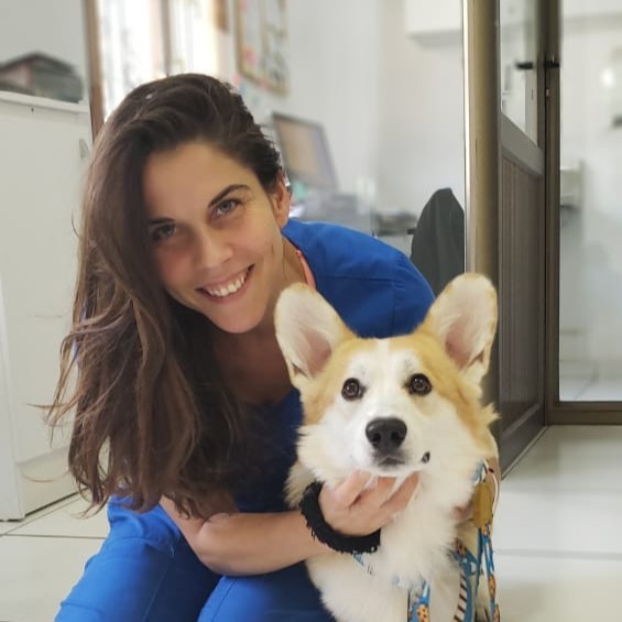 Veterinary Clinic Illustration